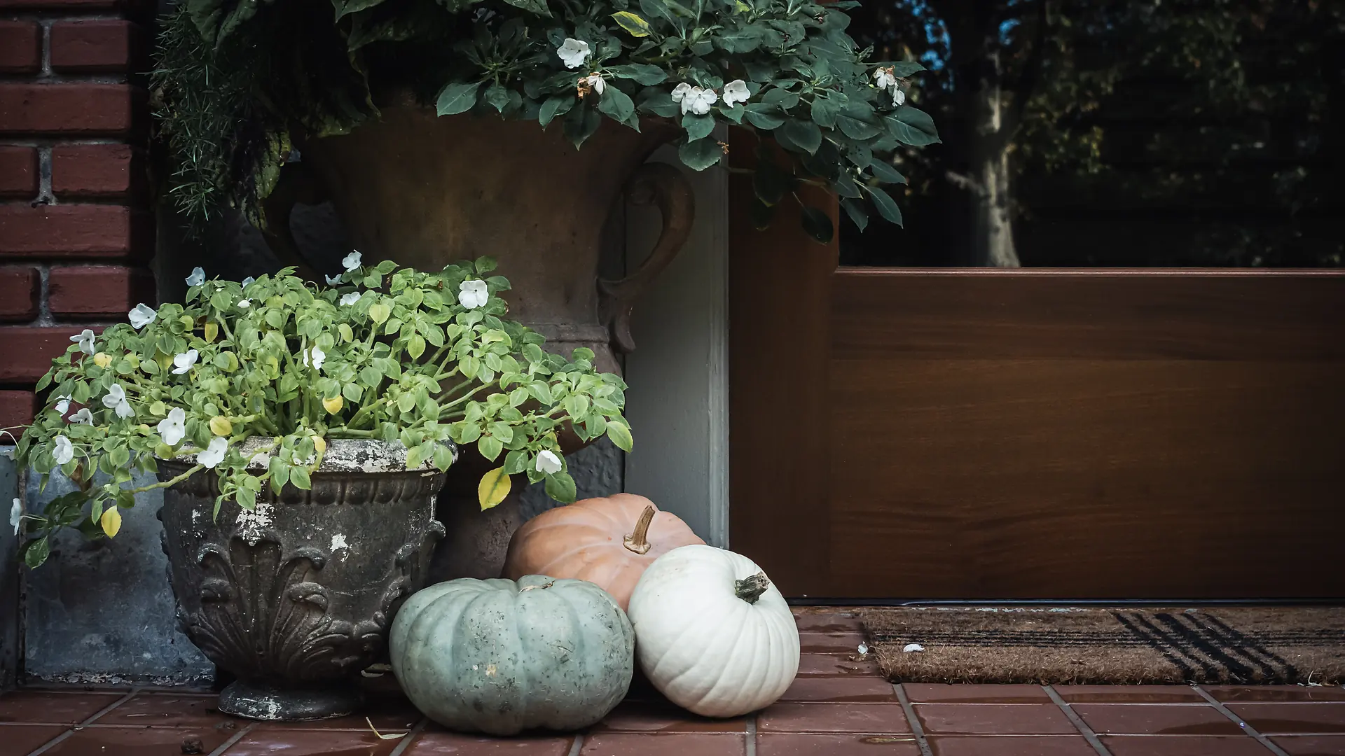 Le pas de la porte en automne : une vasque de fleurs blanches et trois courges sur les tomettes
