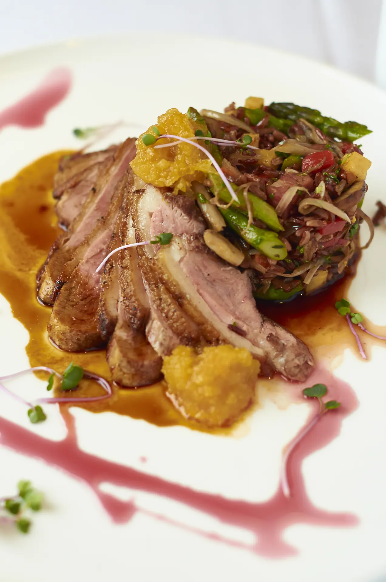Magret, jus au Chinon