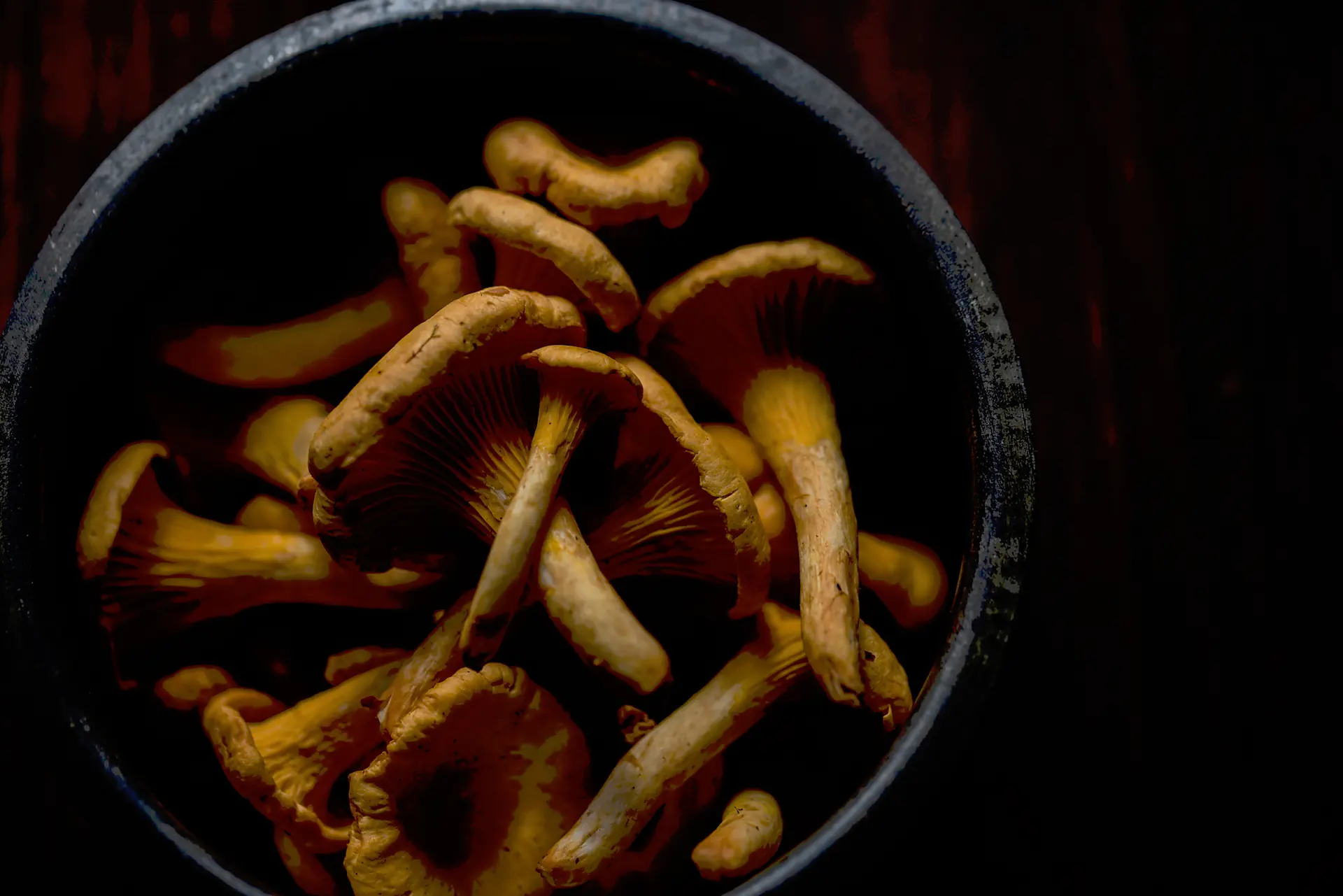 Nos assiettes : les girolles à la poêle, les pappardelle à la sauge frite, les ravioles aux champignons, le Sainte-Maure sur une poire crue, la tarte fine aux épinards