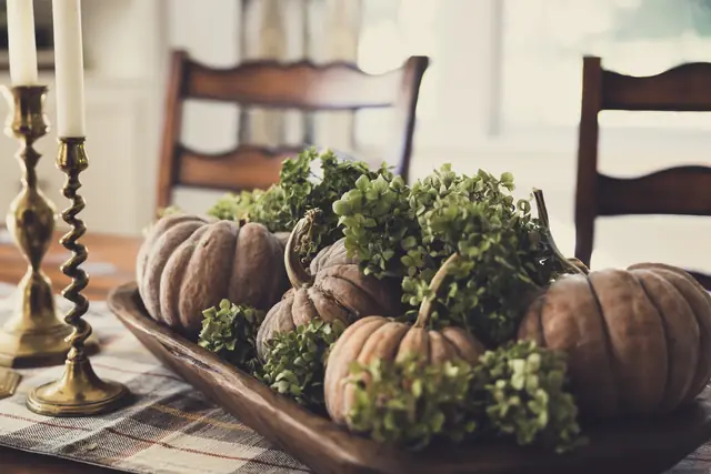 Courges et hortensias séchés, en octobre — Agrandir