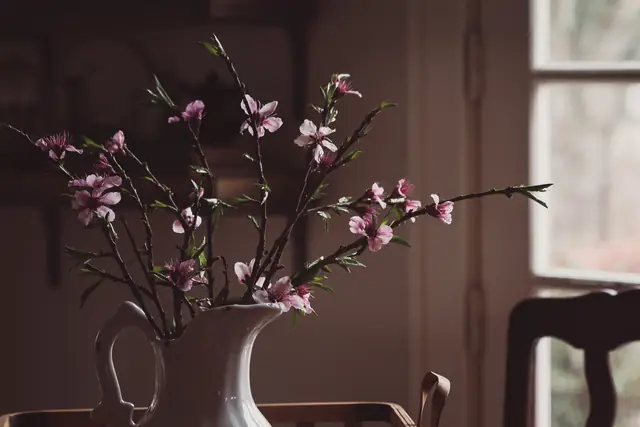 Branches de pêcher en fleur sur la console — Agrandir